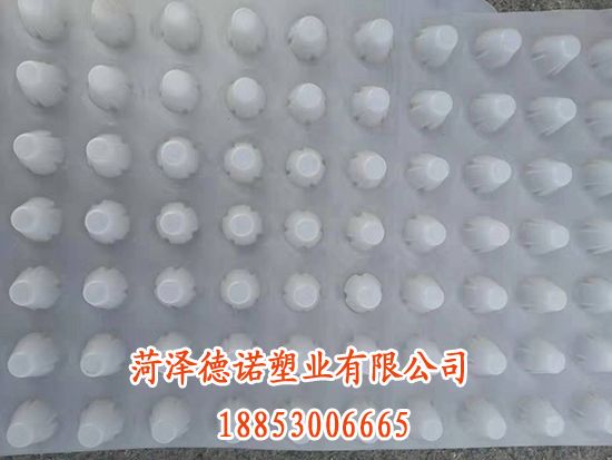 微信图片_201910181108042.jpg